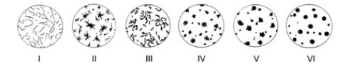 Caractéristiques des fontes en microscopie