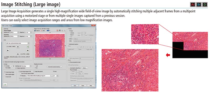 NIS Elements image stitching microscopie