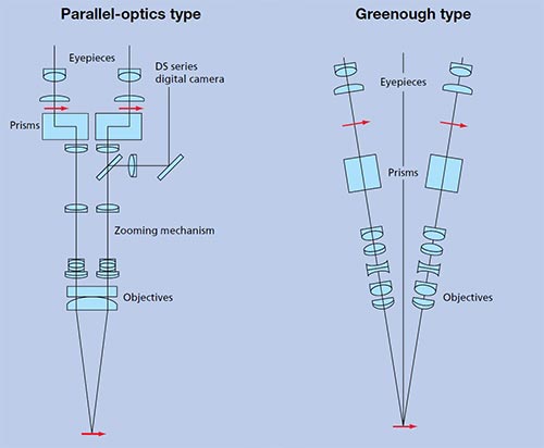 Les différents type de microscope pour la macroscopie