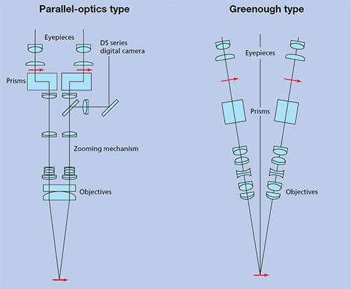 Les différents type de microscope pour la macroscopie